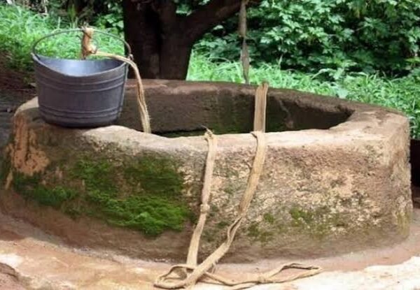 खुदाई से किस्मत बदली, महिला ने अकेले खोदा…