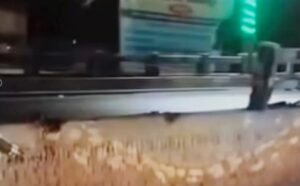 समस्तीपुर में ओवरब्रिज की रेलिंग से कर के&hellip;