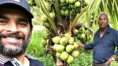 बंजर जमीन में बनाया नारियल फार्म, आर माधवन की खेती कर किया कमाल