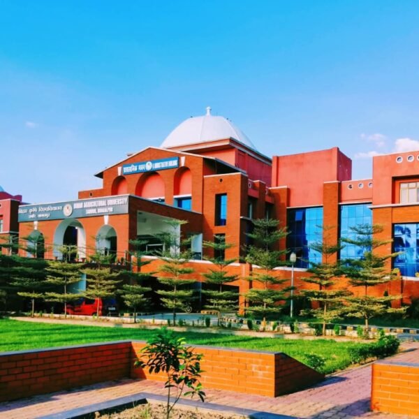 C से सीधे A तक छलांग: BAU सबौर…