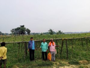 रातों-रात लुटी किसान की मेहनत: परवल की फसल&hellip;