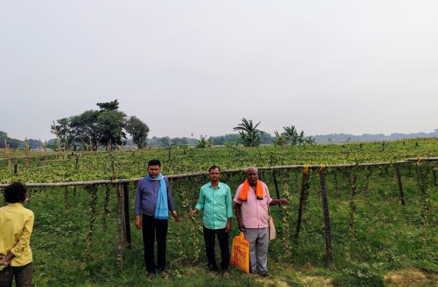 रातों-रात लुटी किसान की मेहनत: परवल की फसल&hellip;