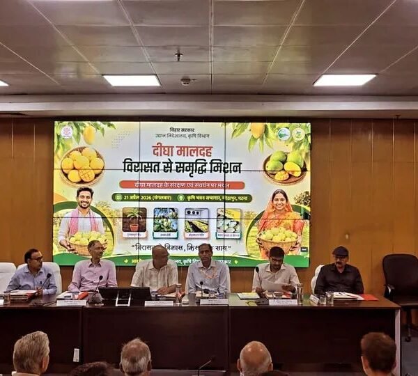 दूधिया मालदा का बढ़ता जलवा गंगा किनारे का&hellip;