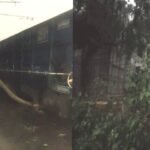 आंधी का कहर: पेड़ गिरते ही थम गई ट्रेनों की रफ्तार, बक्सर में घंटों रेल सेवा ठप