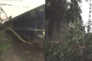 आंधी का कहर: पेड़ गिरते ही थम गई&hellip;