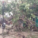 24 घंटे का अंधेरा टूटा: पूर्व विधायक की पहल से लौटी बिजली, डुमरांव में राहत लेकिन संकट अभी बाकी
