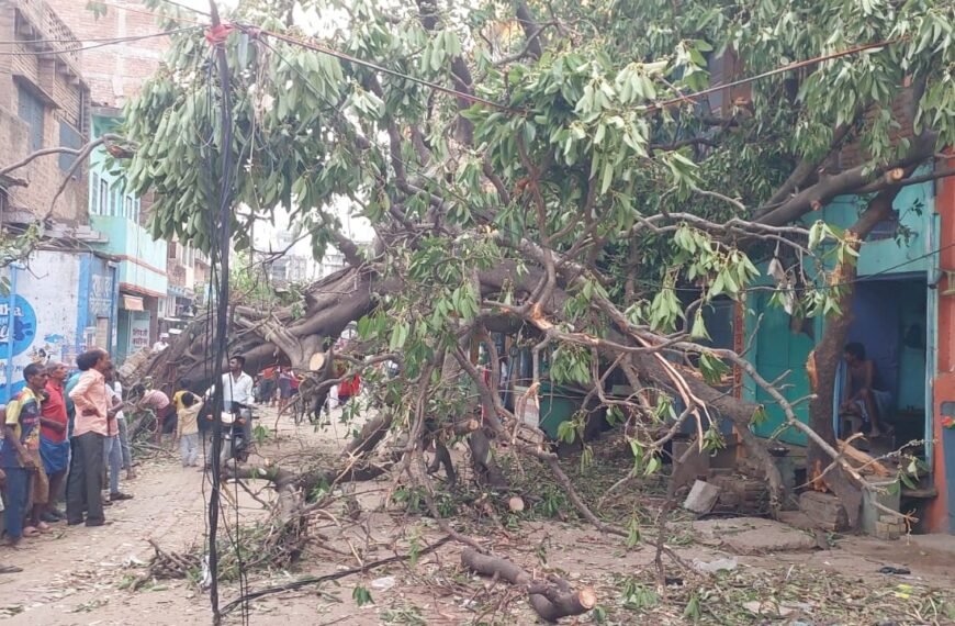 24 घंटे का अंधेरा टूटा: पूर्व विधायक की पहल से लौटी बिजली, डुमरांव में राहत लेकिन संकट अभी बाकी