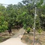 श्मशान बना मौत का अड्डा: प्रेम प्रसंग में युवक की गोली मारकर हत्या, CCTV गायब, रंगदारी और नशे का खुला खेल