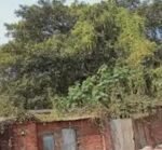 32 साल से बंद मिल फिर गूंजेगी: चनपटिया चीनी मिल को चालू करने की तैयारी तेज, किसानों में जगी नई उम्मीद