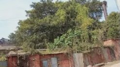 32 साल से बंद मिल फिर गूंजेगी: चनपटिया चीनी मिल को चालू करने की तैयारी तेज, किसानों में जगी नई उम्मीद