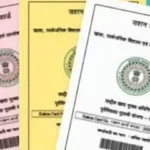 झारखंड में 8 लाख राशन कार्ड पर लटक गई तलवार, सरकार की बड़ी कार्रवाई से मचा हड़कंप