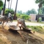 नाम बदला, हालात नहीं: रोजगार सूची से बाहर महिलाओं की पीड़ा, काम नहीं तो चूल्हा नहीं की कड़वी हकीकत