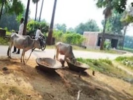 नाम बदला, हालात नहीं: रोजगार सूची से बाहर महिलाओं की पीड़ा, काम नहीं तो चूल्हा नहीं की कड़वी हकीकत