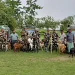 भारत-नेपाल सीमा पर तस्करों पर एसएसबी का शिकंजा: 70 बकरियां, 5 वाहन जब्त, 7 तस्कर गिरफ्तार