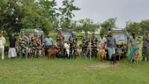 भारत-नेपाल सीमा पर तस्करों पर एसएसबी का शिकंजा:&hellip;