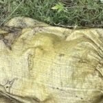 गोईठवा नदी किनारे बोरे में मिली महिला की सड़ी-गली लाश, हत्या कर शव ठिकाने लगाने की आशंका