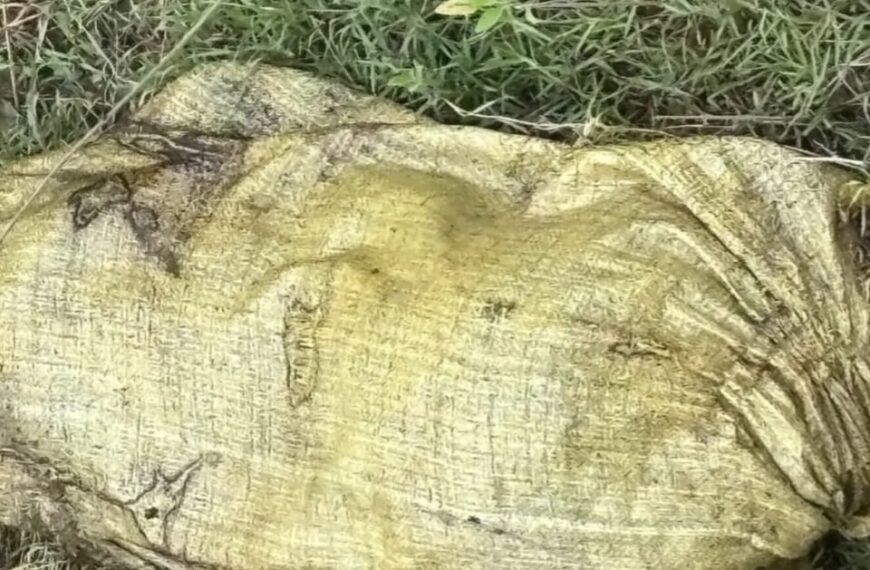 गोईठवा नदी किनारे बोरे में मिली महिला की सड़ी-गली लाश, हत्या कर शव ठिकाने लगाने की आशंका