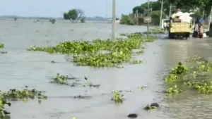 बिहार में नदियों का रौद्र रूप: सामान्य से&hellip;
