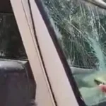 शराब के धंधेबाज को पकड़ने पहुंची पुलिस टीम पर हमला: महिला जवान समेत चार घायल, पुलिस वाहन भी क्षतिग्रस्त