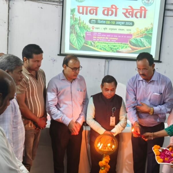 वैज्ञानिक खेती से बदलेगी पान की तस्वीर, 25…