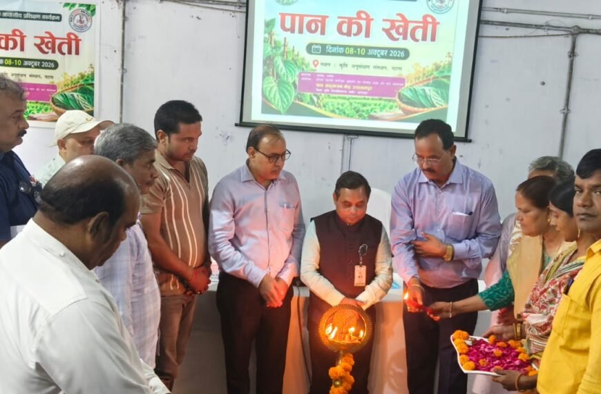 वैज्ञानिक खेती से बदलेगी पान की तस्वीर, 25&hellip;