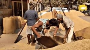 नवंबर से धान खरीद की तैयारी तेज: 50&hellip;