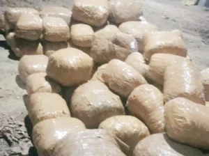 टाइल्स के गोदाम में हो रहा था गांजे&hellip;