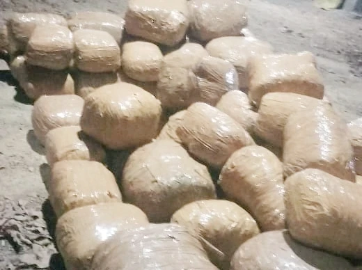 टाइल्स के गोदाम में हो रहा था गांजे का खेल: 30 लाख की 2.25 क्विंटल खेप बरामद, तस्कर फरार
