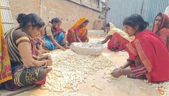 मन की बात में गूंजा पूर्णिया का मखाना, ग्रीस तक पहुंची बिहार की खुशबू
